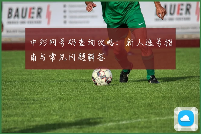 中彩网号码查询攻略：新人选号指南与常见问题解答