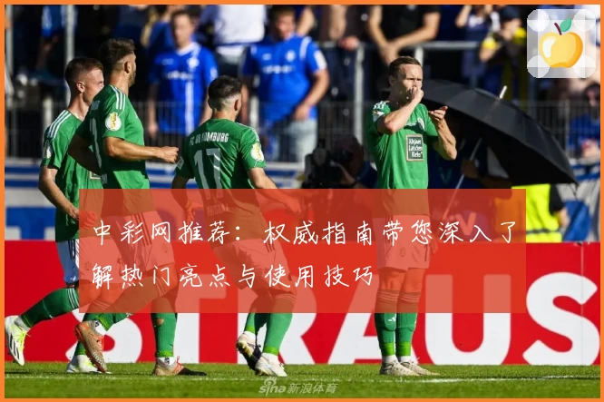 中彩网推荐：权威指南带您深入了解热门亮点与使用技巧