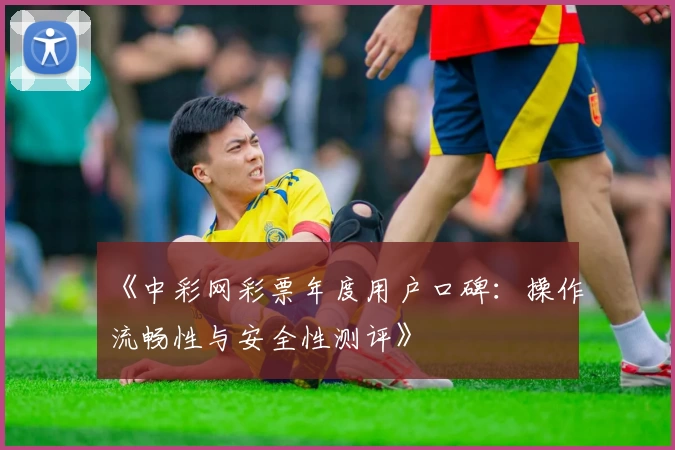 《中彩网彩票年度用户口碑：操作流畅性与安全性测评》